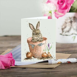 �����f�[���E�f�U�C�� Wrendale Designs Gift Enclosure Card �~�j�J�[�h 3
