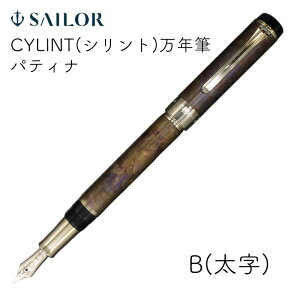 Z[[NM CYLINT(Vg) NM peBi []