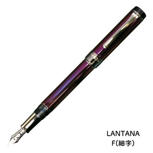 Z[[NM CYLINT(Vg) NM J[hXeX []