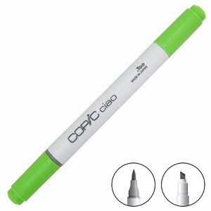 COPIC �R�s�b�N ciao �`���I �P�F YG�O���[�v