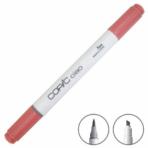 COPIC RsbN ciao `I PF EO[v