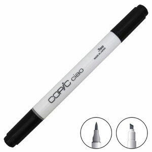 COPIC RsbN ciao `I PF AO[v