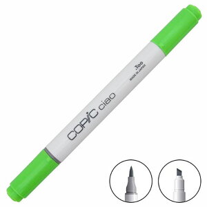 COPIC �R�s�b�N ciao �`���I �P�F G�O���[�v
