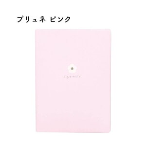 LABCLIP {Nbv 2026N 1n܂_CA[ }X[ B6