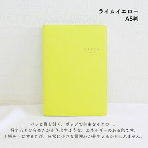 CITTA `b^ 2026N 2025N 10n܂ CITTA_CA[ EB[N[o[`J jn܂ A5 []