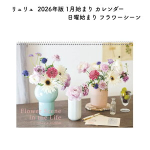  2026N 1n܂ J_[ jn܂ t[V[ CK2602