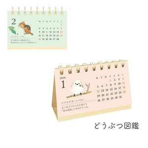  2026N 1n܂ J_[ jn܂ hTCY