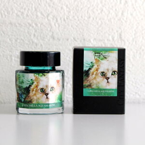 �s�G�[���E�J���_�� Piere Cardin Colour of Catasy �`���`�� �A�N�A�}���� ��������