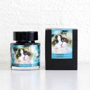 �s�G�[���E�J���_�� Piere Cardin Colour of Catasy ���O�h�[�� �G���N�g���b�N �u���[ ��������