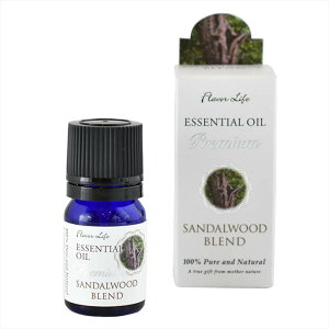 t[o[Ct v~A T_Ebhuh3mL