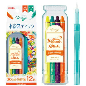 �؂�Ă� Vistage ���ʃX�e�B�b�N �J�N�e���~�b�N�X