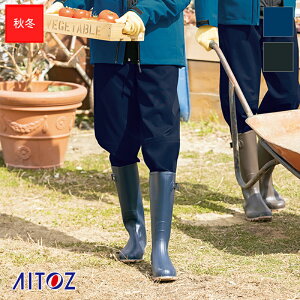 ƕ SV^Xgb`pc AZ-562412 [jpnACgX/AITOZ ƒ [NEFA ƃEGA h h x H O ʐ AEghA Y{