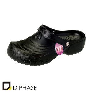 샆jtH[ uGovT_ [p] SA-6 {fB[tFCY D-PHASE   GXejtH[  eI yԕisz