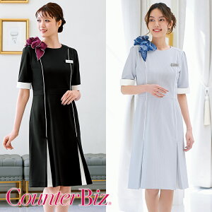 GXejtH[ s[X 7739Counter Biz JE^[rY HANECTONE nlNg[ TEFA  eI