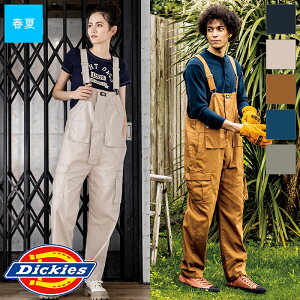 ƕ Xgb`IbNX I[o[I[J[S D-739 [jp] Dickies fBbL[Y CO-COS R[RX ƒ [NEFA [NjtH[ AJl[t