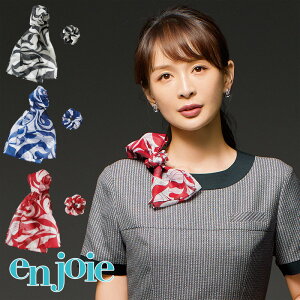  XJ[tVV(Nbvt) OP176 tH[}  t JE^[fB oXKCh V[[  킢 jtH[ enjoie AWA