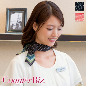 GXejtH[ XJ[t [p] 8064 Counter Biz JE^[rY HANECTONE nlNg[ TEFA  eI