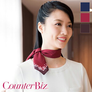 GXejtH[ XJ[t 8083 Counter Biz JE^[rY HANECTONE nlNg[ TEFA  eI