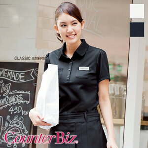 GXejtH[ GKY| [p] WP320 Counter Biz JE^[rY HANECTONE nlNg[ TEFA  eI