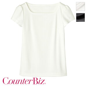 GXejtH[ XNGAlbNT [p] WP322 Counter Biz JE^[rY HANECTONE nlNg[ TEFA  eI