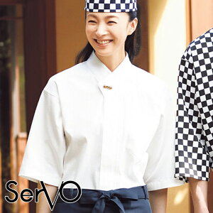 HXjtH[ jZbNX Vc  [jp] BL-259  S1F aH B   aJtF x[W zCg SerVo T[H [a]