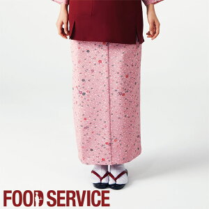 yԕisz HXjtH[ yPizߒXJ[g(lɉԕ) mpnOD-248 얱 p a a HXaSerVo T[H