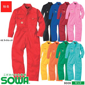 ƕ J[Ȃ qp H~pyTCY100~150z[jp] 9009 LbYKa SOWA \[ ̎d ƒ [NEFA 100 Rbg