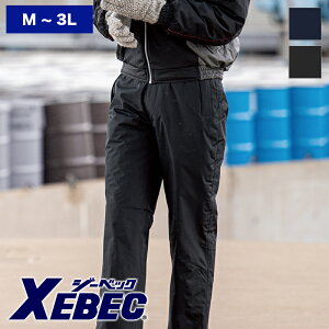 ƕ hhpc 600 [jpnXEBEC W[xbN ƒ [NEFA ƃEGA ꕞ h h Y{