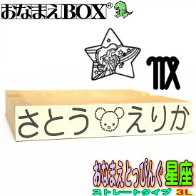 楽天市場 お名前スタンプ 双子の通販