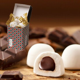 ましゅまろ【ショコラ】5個入春ギフト バレンタイン ホワイトデー お返し 卒業 卒園 マシュマロ チョコレート ふんわり もっちり 春 お祝い プチギフト 500円 スイーツ プレゼント 石村萬盛堂 ギモーヴ