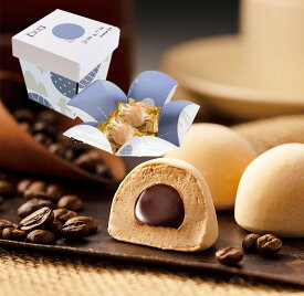 ましゅまろ【珈琲】5個入マシュマロ チョコレート お取り寄せ ふんわり もっちり 博多 福岡 ほろ苦スイーツ プチギフト 500円 かわいい スイーツ お配り用 お返し プレゼント ホワイトデー 石村萬盛堂 博多 福岡 ギモーヴ ハロウィン お歳暮 冬ギフト クリスマス お年賀