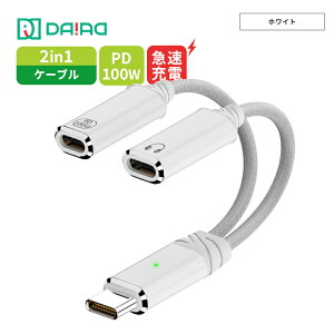 yŐV 2in1zType-CCzϊP[u PD100W}[dDAC Type-C to Type-C CzϊA_v^ iPhone16 / 15Ή Android iPad MacBook Galaxy Pixel Surface m[gPCΉ ʘb }CN ʒ 