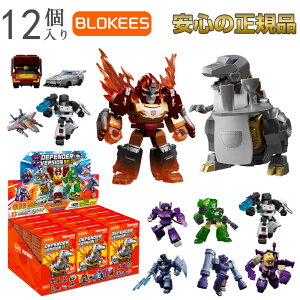 Blokees �u���[�L�[�Y �g�����X�t�H�[�}�[ �^�C�����g�E�t���[���[ 12����BOX �v�����f�� �t�B�M���A ���{�b�g �������� �ߋ� �A�N�V�����t�B�M���A �g�ݗ��� �h���ς� �I�v�e�B�}�X �O����