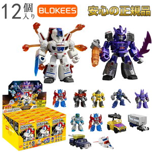 �y���������zBlokees �u���[�L�[�Y �g�����X�t�H�[�}�[ �\���ւ̔��t�� 12����BOX �v�����f�� �t�B�M���A ���{�b�g �������� �ߋ� �A�N�V�����t�B�M���A �g�ݗ��� �T�C�o�g���� �f�� �O�b�Y 