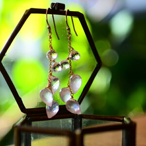 [YNI[c ڂ݃hbvJbg ƔêsAX@S[htBh@ ̐A