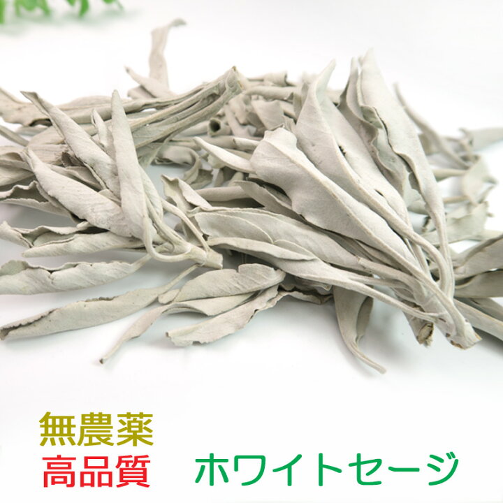 楽天市場】【マラソンP5倍＆10％引きクーポン】ホワイトセージ（無農薬 