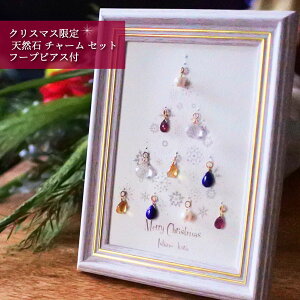 y܁zNX}X sAXlbNXɊ VR `[ Zbg t[vsAXt ΂̑