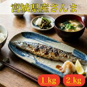 [ 無塩 ] 宮城県産さんま 1kg（10尾入り） 冷凍 国産 加熱用 金華さば本舗