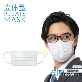 ＼ 花粉 黄砂 対策 ／ 立体型プリーツマスク ゆったりフィット 40枚入(ホワイト) / 災害グッズ 災害時 防災グッズ 防災用品 災害対策 大容量 iSDG マスク 立体型マスク 不織布 立体 ゆったり マスク おしゃれマスク 使い捨て 個包装 医食同源 isdg 医食同源 ドットコム
