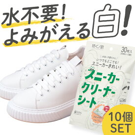 【10袋セット】拭くノ助　スニーカークリーナーシート / 靴 靴掃除 靴磨き 靴ケア 水使わない 水洗い不要 上履き ケア 黄ばみ 汚れ 落とし 落とす スニーカー 便利グッズ 便利アイテム 汚れ防止 isdg 医食同源 ドットコム