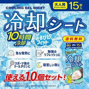 y10ZbgzpV[g 15(3×5) / ЊQObY ЊQ hЃObY hЗpi ЊQ΍ M 10ԗp x_[ ⊴WF Ђ ⊴ uԗp lp N[_E