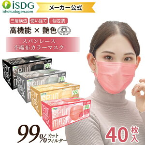 大人 マスク レースの人気商品 通販 価格比較 価格 Com