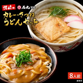 讃岐のカレー・きつねうどんセット半生うどん220g 4袋 8人前 送料無料 【 うどん 讃岐うどん 贈り物 半生うどん カレーうどん きつねうどん 味付けあげ付 プレゼント ギフトセット 石丸製麺 四国 うどん県 常温 DM-20K お歳暮 石丸製麺楽天市場店 】