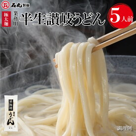 業務用半生讃岐うどん 500g 1袋 5人前 お試し 麺のみ 半生うどん 讃岐うどん さぬきうどん うどん 太麺 極太麺 包丁切り コシ 業務用 お取り寄せ ギフト 石丸製麺 四国 常温 お歳暮 石丸製麺楽天市場店