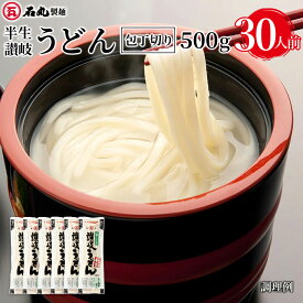 半生讃岐うどん包丁切り500g 6袋 30人前 【大容量 麺のみ 半生うどん 讃岐うどん さぬきうどん お取り寄せ 人気商品 石丸製麺 四国 常温】