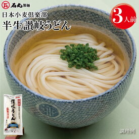 日本小麦倶楽部 半生 讃岐うどん包丁切り 300g 1袋 3人前 麺のみ 半生うどん 包丁切り うどん 讃岐うどん さぬきうどん 手打ち式製法 国産小麦100% お試し お取り寄せ 石丸製麺 四国 常温