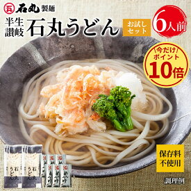 ＼今だけ！ポイント10倍／ 石丸製麺特製★ 1000円ポッキリ 送料無料 【 半生讃岐石丸うどんお試しセット 2袋 6人前 めんつゆ付 半生うどん 讃岐うどん さぬきうどん お取り寄せ 手打ち式製法包丁切り 保存料不使用 常温 保存料不使用 HP-4 】