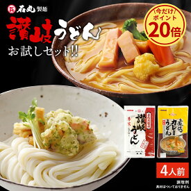 ＼今だけ！ポイント20倍／ 石丸製麺特製★ 讃岐うどんお試しセット 4人前 送料無料 【 半生うどん 半生めん カレーうどん 讃岐うどん さぬきうどん お取り寄せ 手打ち式製法包丁切り 四国 香川県 常温 石丸製麺 お試し HP-6A 】