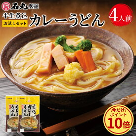 ＼今だけ！ポイント10倍／ 送料無料 半生煮込カレーうどんお試しセット 2袋 4人前 【半生うどん 下ゆで不要 讃岐うどん さぬきうどん お取り寄せ 石丸製麺 四国 香川県 常温 送料無料 お試し HP-9】