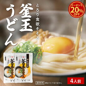 ＼今だけ！クーポン利用で20%OFF／ 半生讃岐釜玉うどん 2袋 4人前 鎌田醤油 うどん醤油付 半生うどん お土産 贈り物 讃岐うどん さぬきうどん たまごかけうどん お取り寄せ 手打ち式製法 石丸製麺 四国 常温 【DM-59】 セール 楽天スーパーSALE